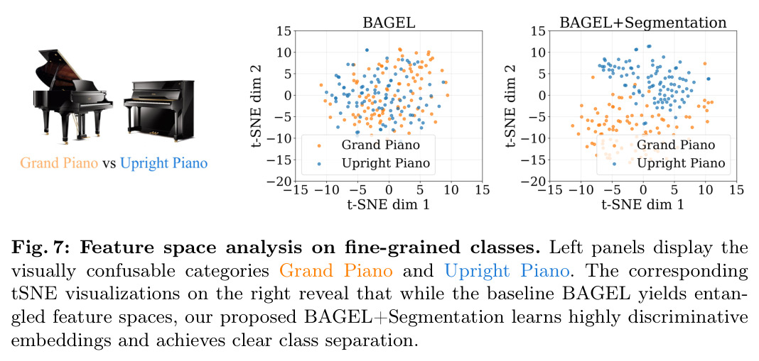 Feature space analysis on fine-grained classes.