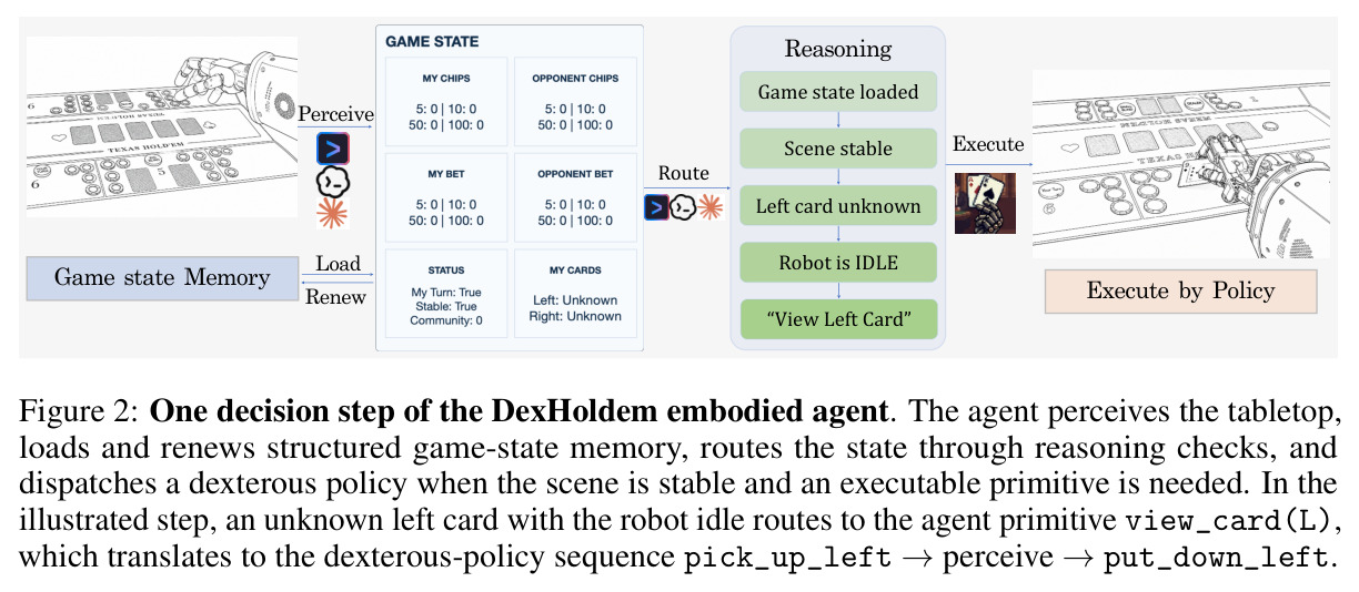 One decision step of the DexHoldem embodied agent