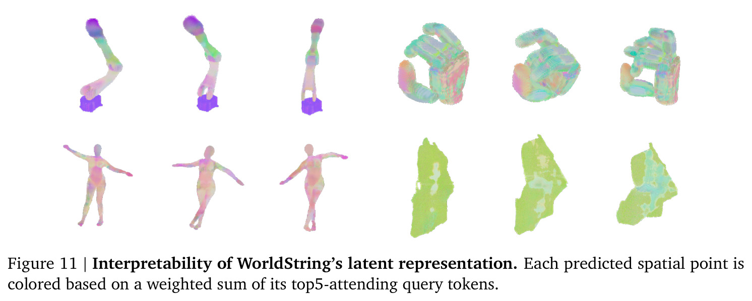 Interpretability of WorldString's latent representation.