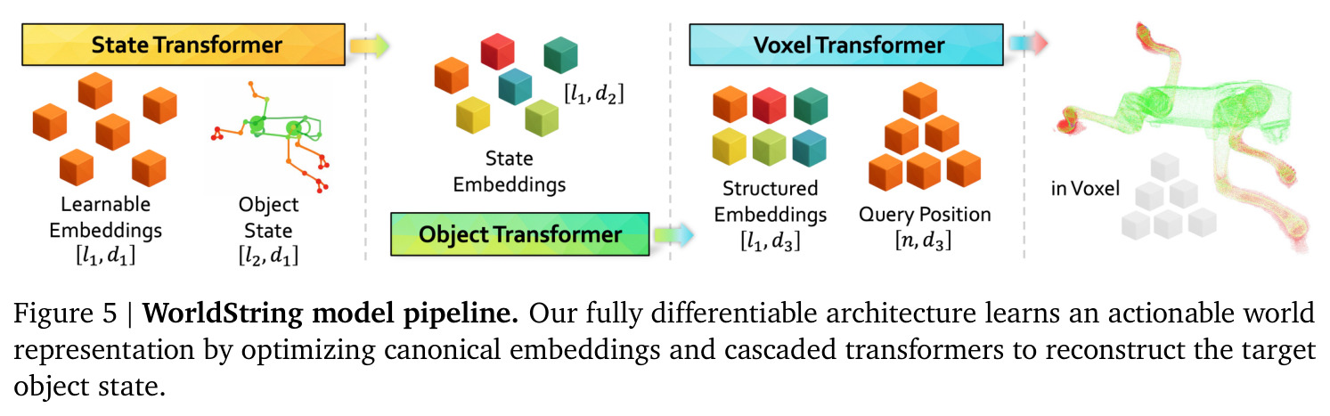 WorldString model pipeline.