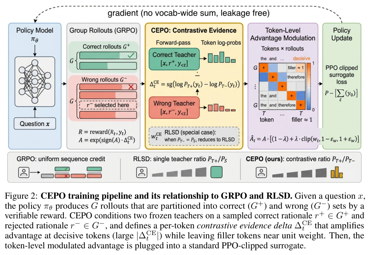 CEPO training pipeline and its relationship to GRPO and RLSD