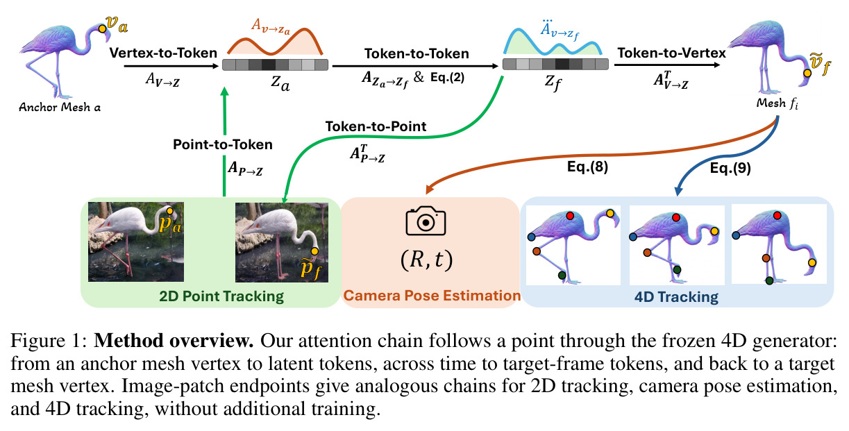 Method overview. Our attention chain follows a point through the frozen 4D generator