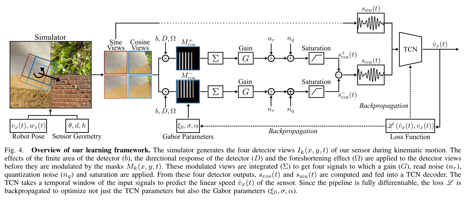 Overview of our learning framework. The simulator generates the four detector views Ik(x, y, t) of our sensor during kinematic motion. The effects of the finite area of the detector (b), the directional response of the detector (D) and the foreshortening effect (Ω) are applied to the detector views before they are modulated by the masks Mk(x, y, t). These modulated views are integrated (Σ) to get four signals to which a gain (G), read noise (nr), quantization noise (nq) and saturation are applied. From these four detector outputs, scos(t) and ssin(t) are computed and fed into a TCN decoder. The TCN takes a temporal window of the input signals to predict the linear speed vˆx(t) of the sensor. Since the pipeline is fully differentiable, the loss L is backpropagated to optimize not just the TCN parameters but also the Gabor parameters (ξ0, σ, α).