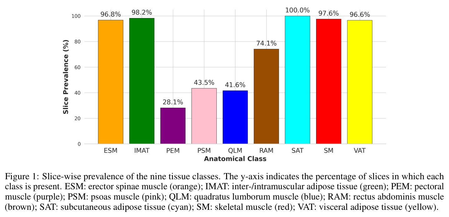 Slice-wise prevalence of the nine tissue classes