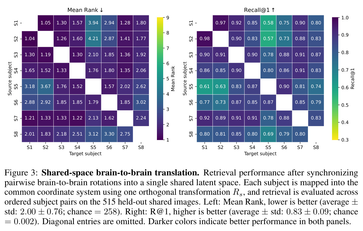 Shared-space brain-to-brain translation. Retrieval performance after synchronizing pairwise brain-to-brain rotations into a single shared latent space. Each subject is mapped into the common coordinate system using one orthogonal transformation Rs, and retrieval is evaluated across ordered subject pairs on the 515 held-out shared images. Left: Mean Rank, lower is better (average ± std: 2.00 ± 0.76; chance = 258). Right: R@1, higher is better (average ± std: 0.83 ± 0.09; chance = 0.002). Diagonal entries are omitted. Darker colors indicate better performance in both panels.