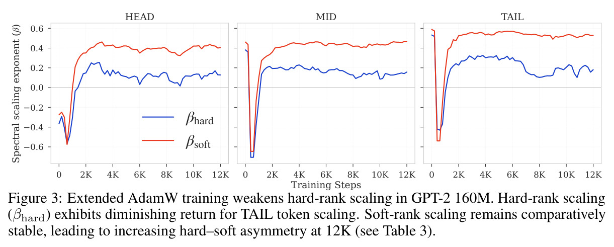 Optimizer-dependent spectral scaling across token-frequency regimes (HEAD/MID/TAIL).