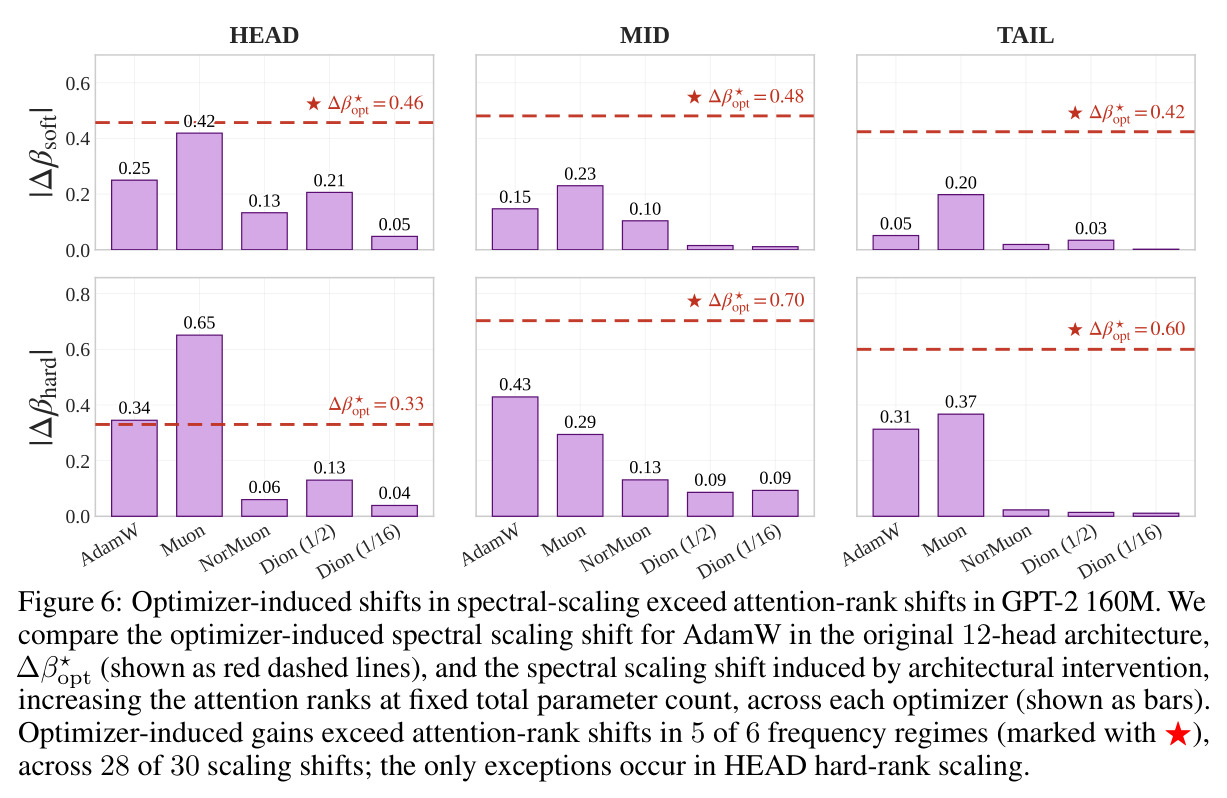 Optimizer-induced shifts in spectral scaling exceed attention-rank shifts in GPT-2 160M.