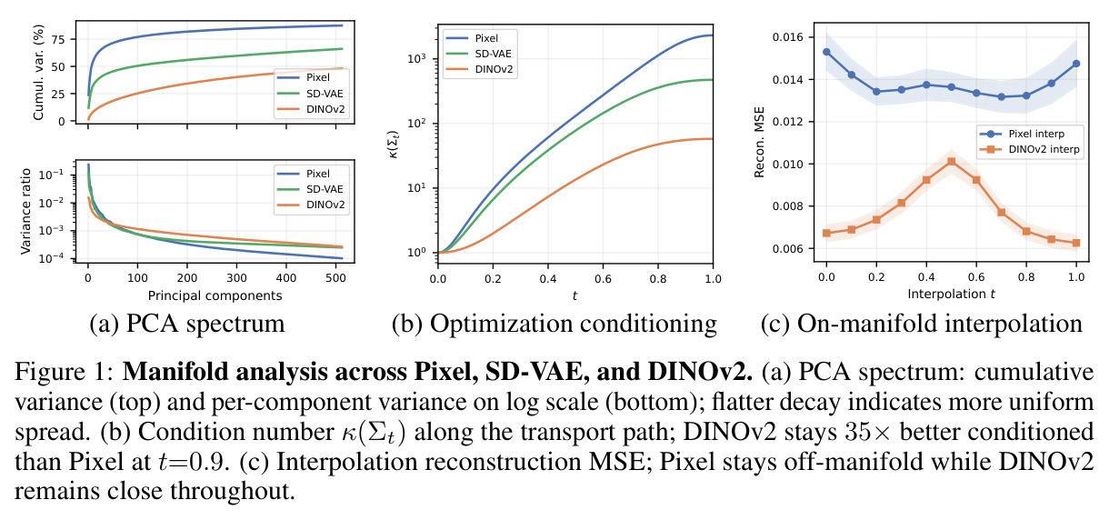 Manifold analysis across Pixel, SD-VAE, and DINOv2.