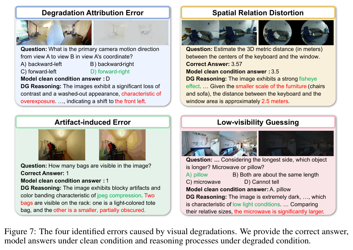 The four identified errors caused by visual degradations