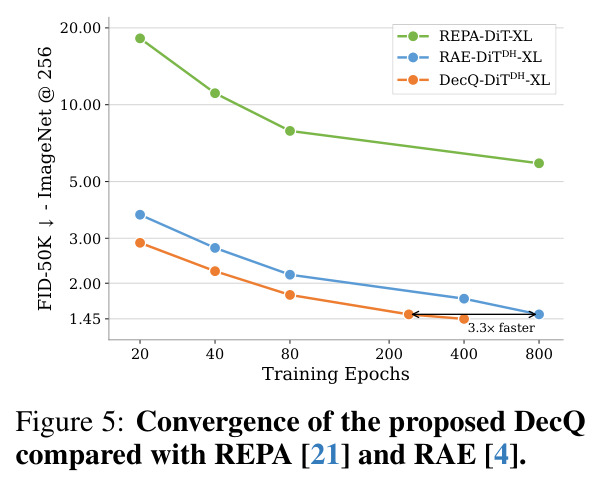 DecQ与REPA、RAE的收敛对比