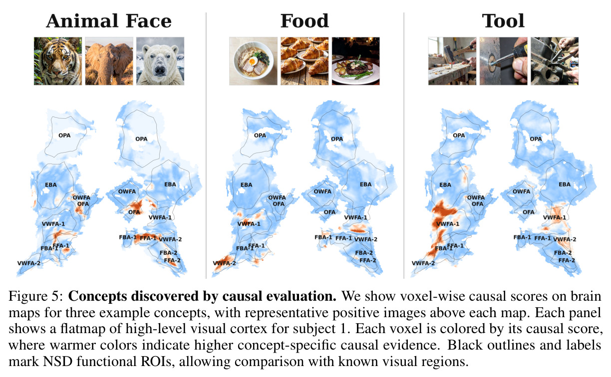 Concepts discovered by causal evaluation.