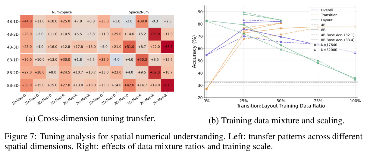 Tuning analysis for spatial numerical understanding. Left: transfer patterns across different spatial dimensions. Right: effects of data mixture ratios and training scale.