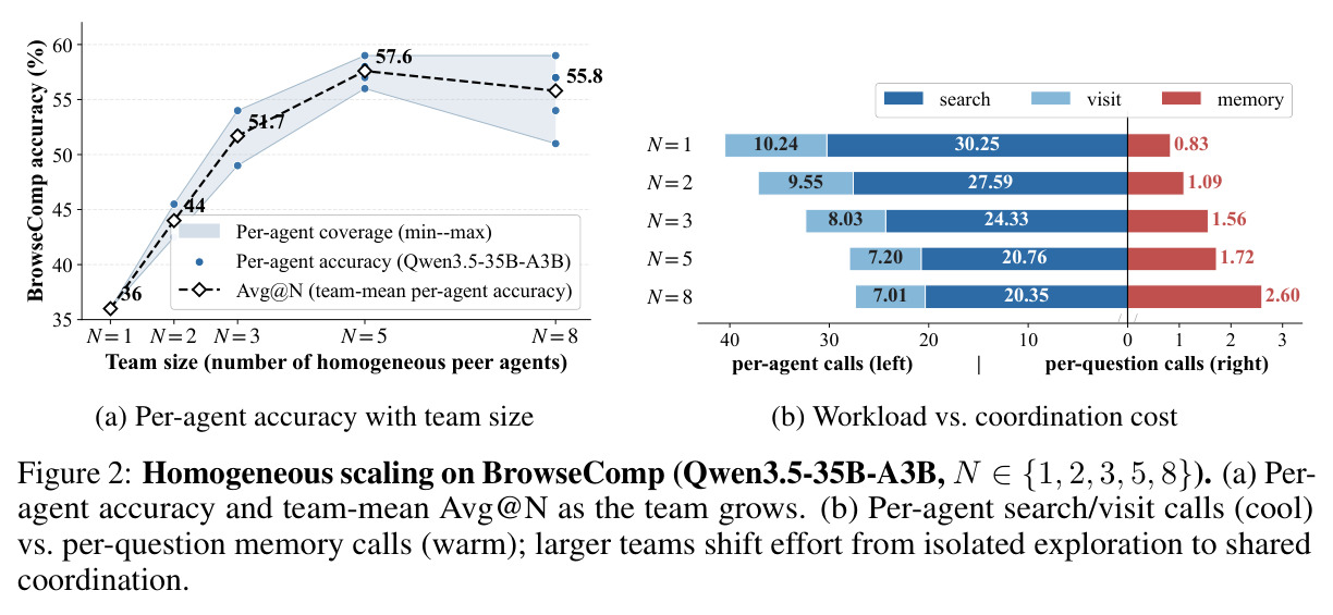 Homogeneous scaling on BrowseComp (Qwen3.5-35B-A3B, N in {1, 2, 3, 5, 8}). (a) Per-agent accuracy and team-mean Avg at N as the team grows. (b) Per-agent search and visit calls (cool) vs. per-question memory calls (warm); larger teams shift effort from isolated exploration to shared coordination.