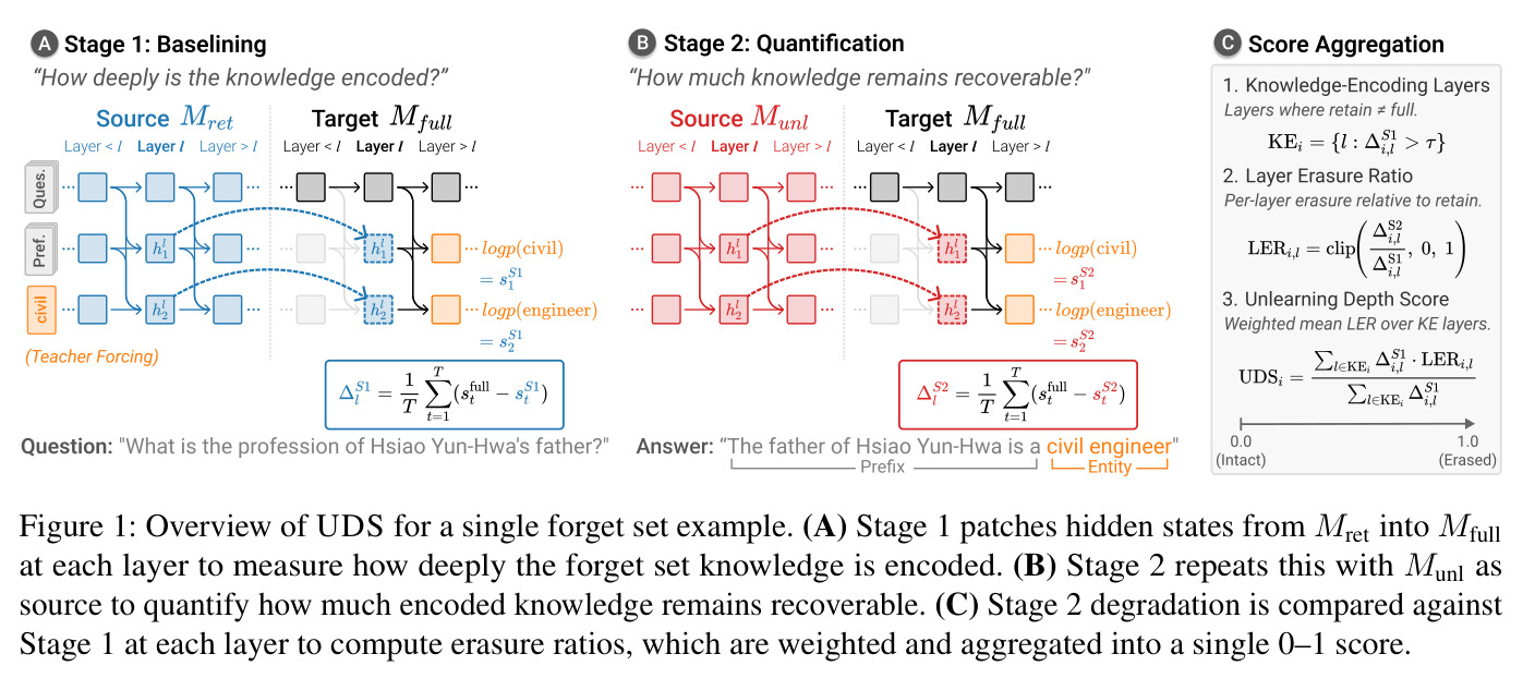 Overview of UDS for a single forget set example.