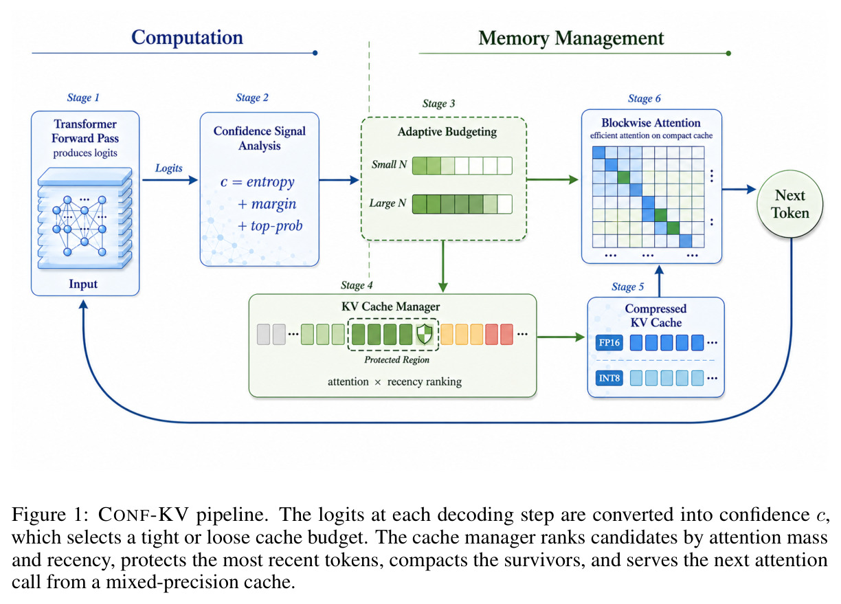 CONF-KV pipeline. The logits at each decoding step are converted into confidence c, which selects a tight or loose cache budget. The cache manager ranks candidates by attention mass and recency, protects the most recent tokens, compacts the survivors, and serves the next attention call from a mixed-precision cache.