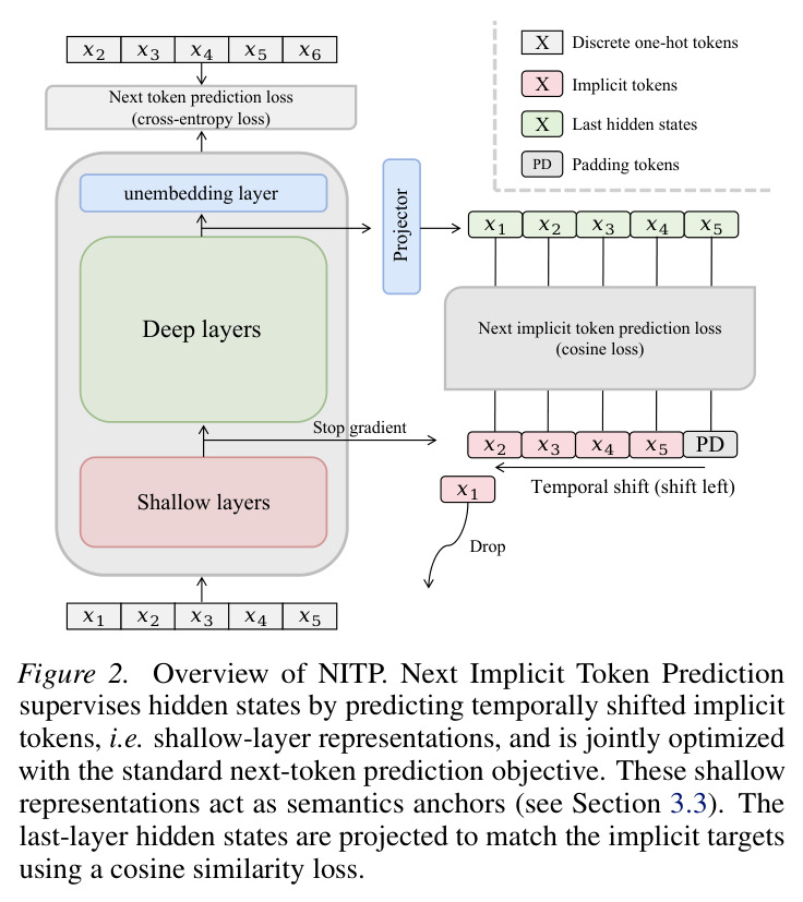 Overview of NITP. Next Implicit Token Prediction supervises hidden states by predicting temporally shifted implicit tokens, i.e. shallow-layer representations, and is jointly optimized with the standard next-token prediction objective.