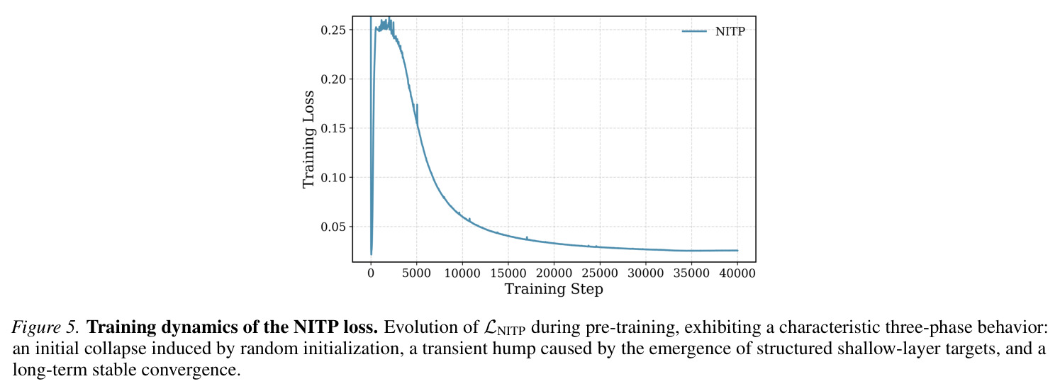 Training dynamics of the NITP loss. Evolution of LNITP during pre-training, exhibiting a characteristic three-phase behavior: an initial collapse induced by random initialization, a transient hump caused by the emergence of structured shallow-layer targets, and a long-term stable convergence.
