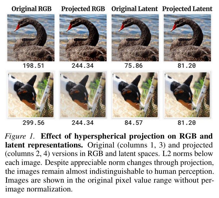 Effect of hyperspherical projection on RGB and latent representations