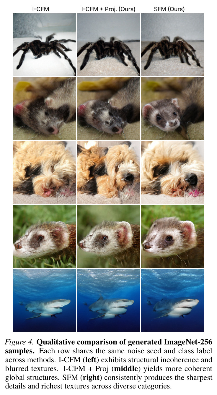 Qualitative comparison of generated ImageNet-256 samples
