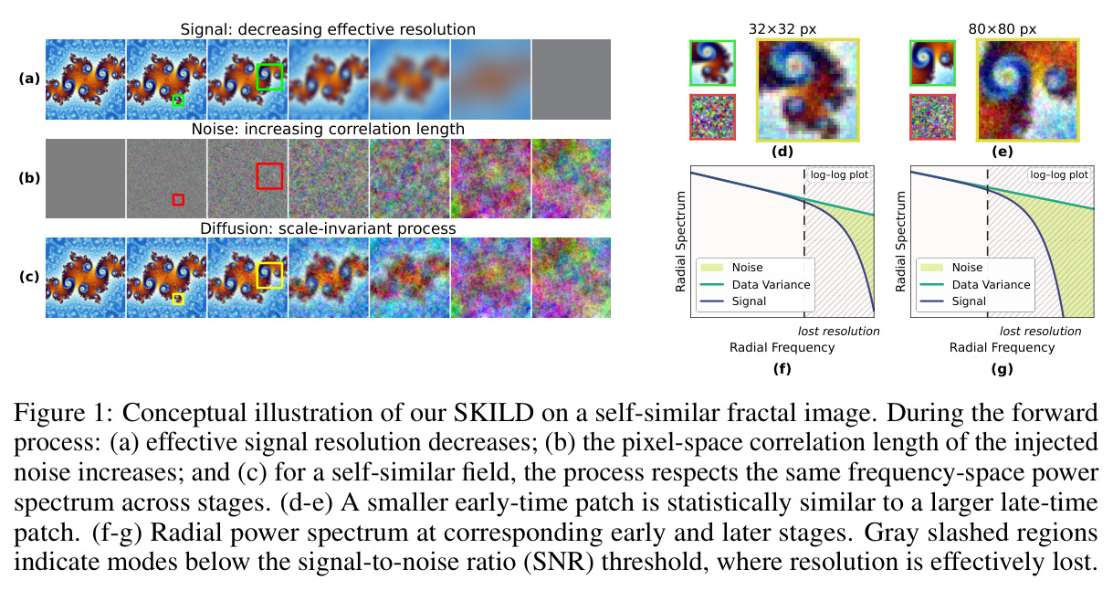 Conceptual illustration of our SKILD on a self-similar fractal image