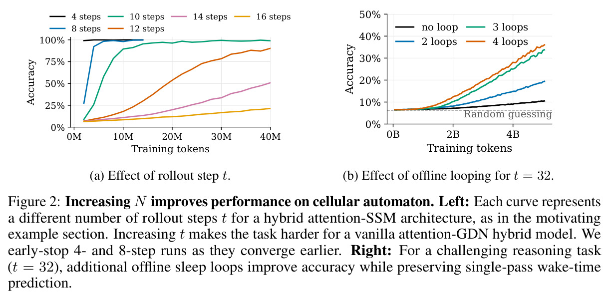 Increasing N improves performance on cellular automaton.