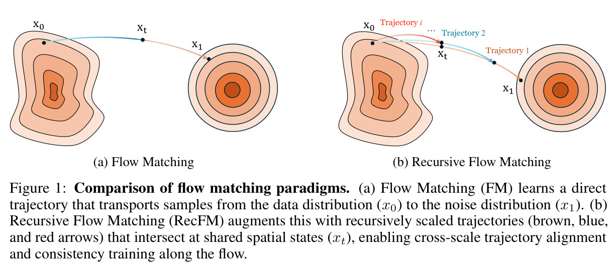 Comparison of flow matching paradigms. (a) Flow Matching (FM) learns a direct trajectory that transports samples from the data distribution ($x_0$) to the noise distribution ($x_1$). (b) Recursive Flow Matching (RecFM) augments this with recursively scaled trajectories (brown, blue, and red arrows) that intersect at shared spatial states ($x_t$), enabling cross-scale trajectory alignment and consistency training along the flow.