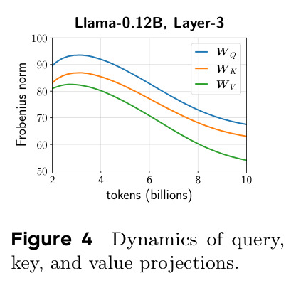 Dynamics of query, key, and value projections.