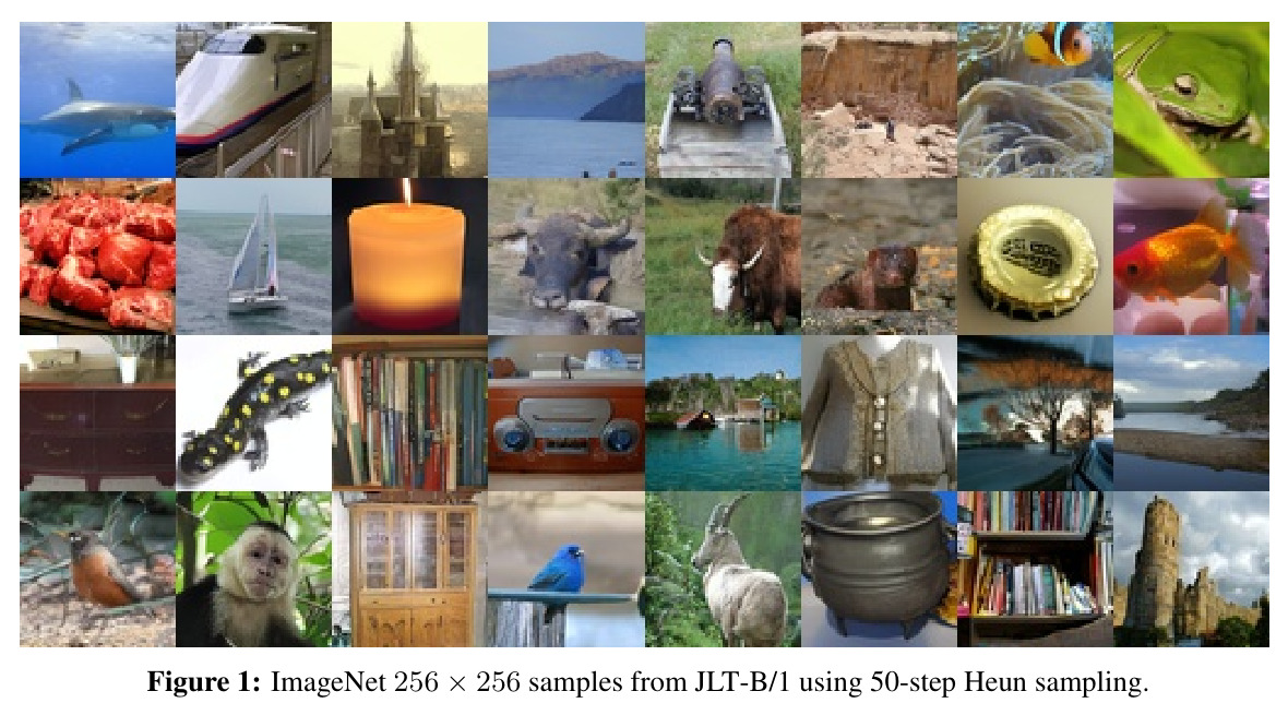 ImageNet 256 × 256 samples from JLT-B/1 using 50-step Heun sampling.