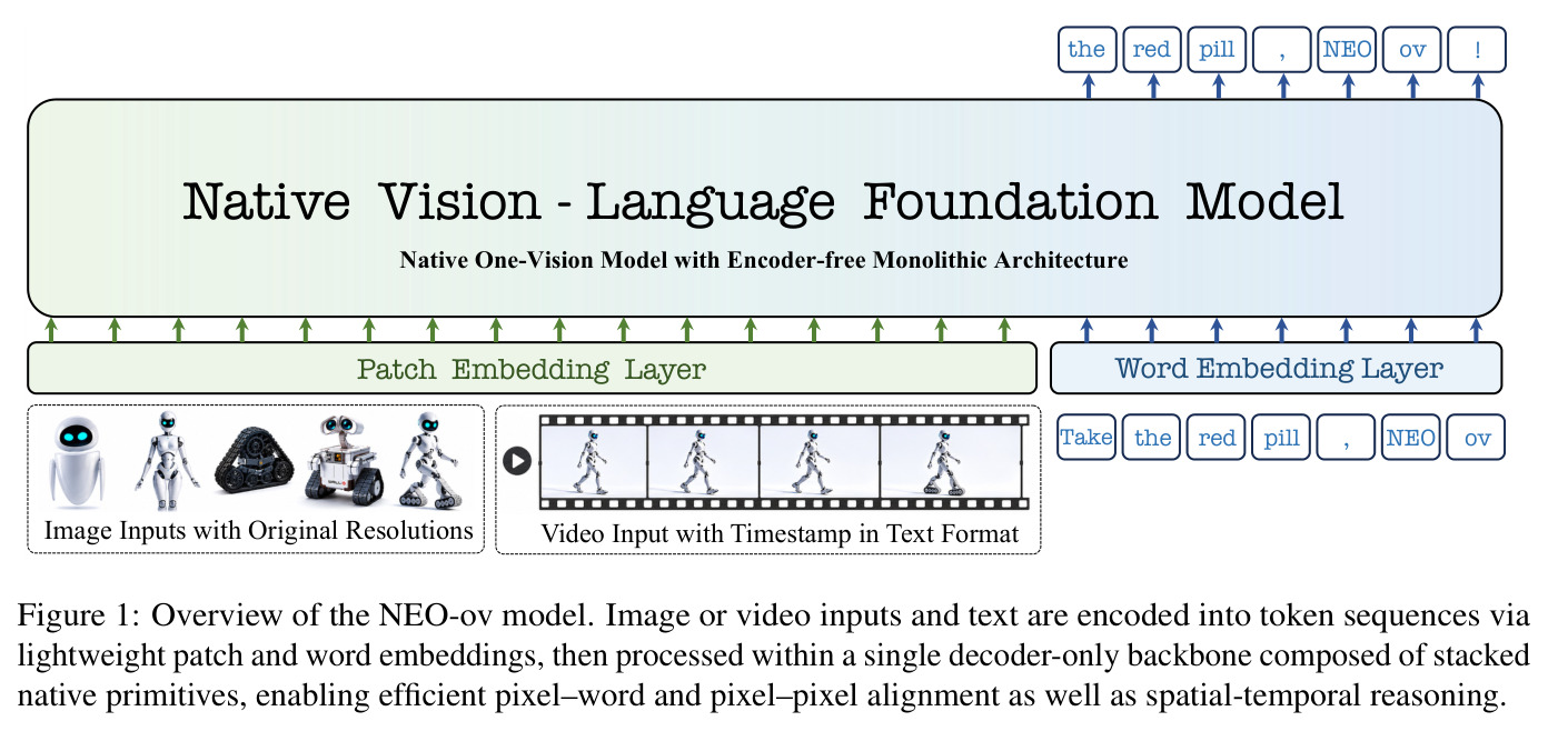 Overview of the NEO-ov model