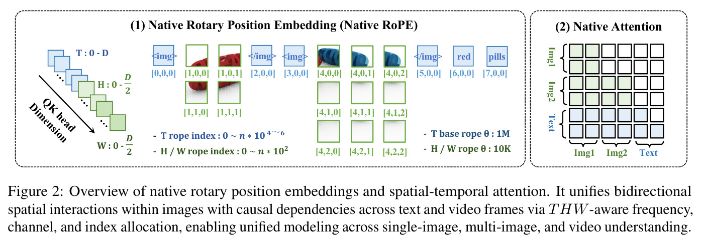 Overview of native rotary position embeddings and spatial-temporal attention