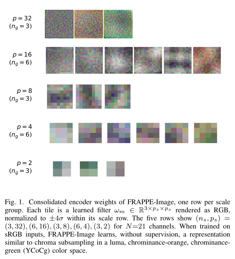 Consolidated encoder weights of FRAPPE-Image, one row per scale group