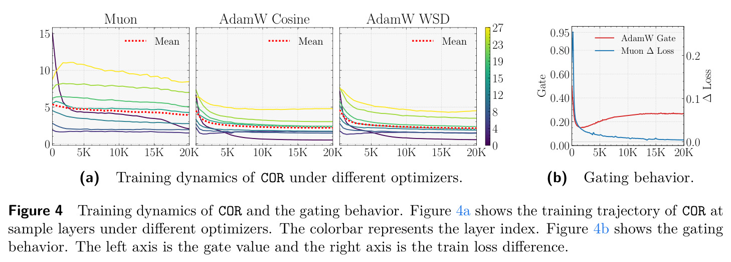 Training dynamics of COR under different optimizers. Figure 4b shows the gating behavior.