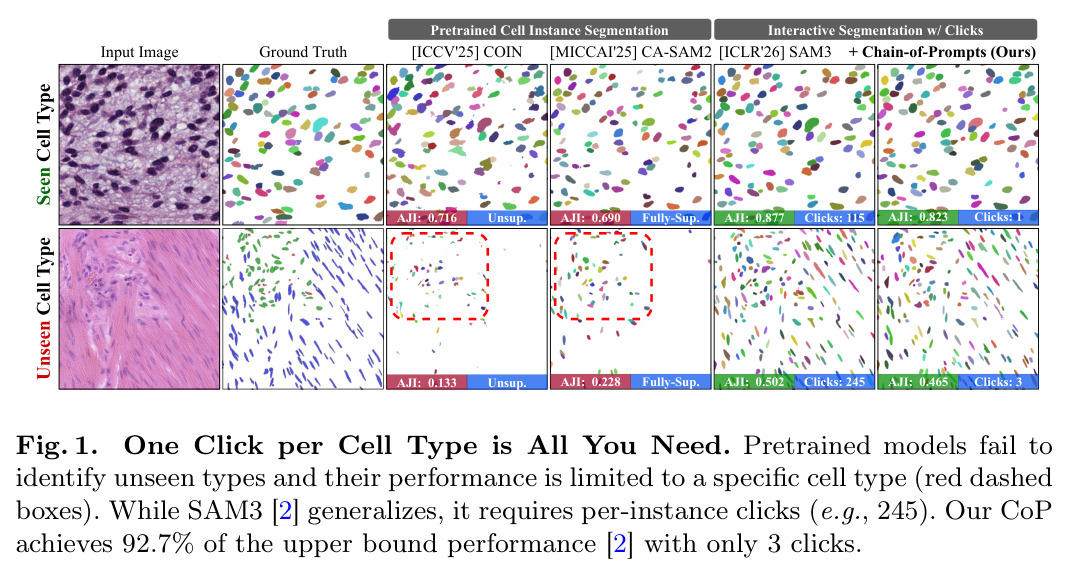 One Click per Cell Type is All You Need.