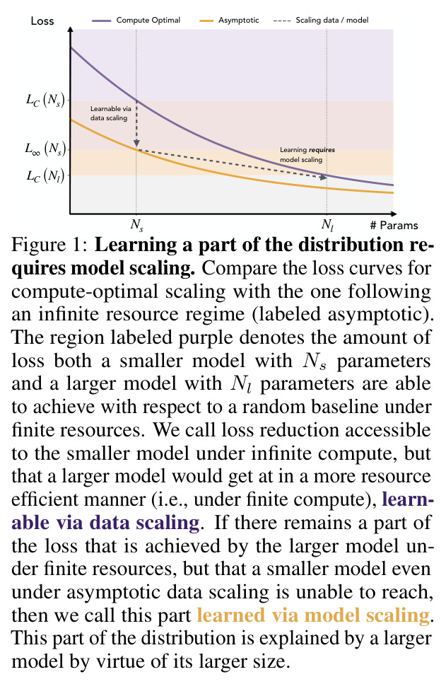 Learning a part of the distribution requires model scaling. Compare the loss curves for compute-optimal scaling with the one following an infinite resource regime (labeled asymptotic).
