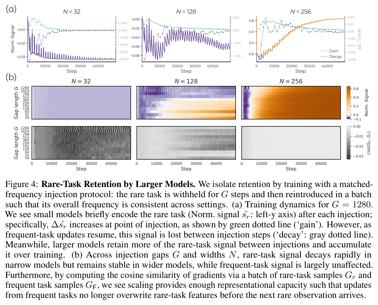 Rare-Task Retention by Larger Models. We isolate retention by training with a matched-frequency injection protocol: the rare task is withheld for G steps and then reintroduced in a batch such that its overall frequency is consistent across settings.