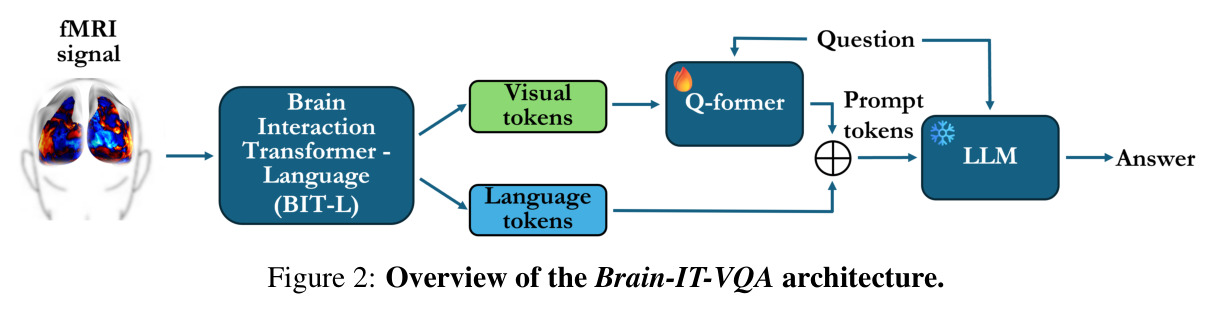 Overview of the Brain-IT-VQA architecture.