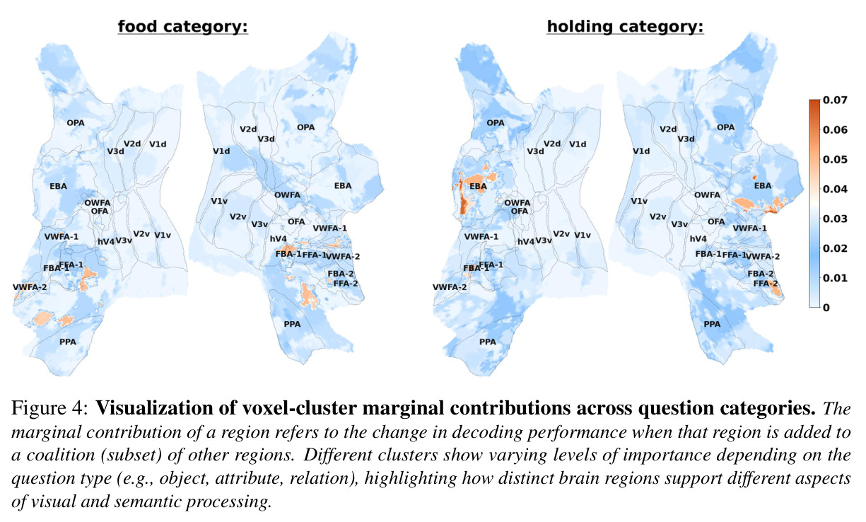 Visualization of voxel-cluster marginal contributions across question categories.