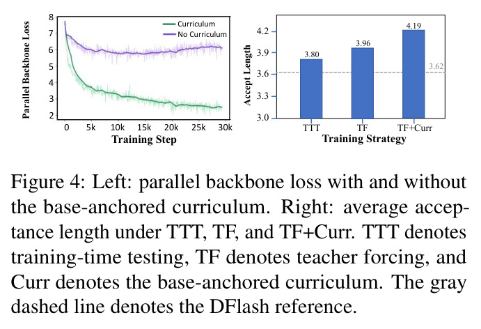 Left: parallel backbone loss with and without the base-anchored curriculum. Right: average acceptance length under TTT, TF, and TF+Curr.