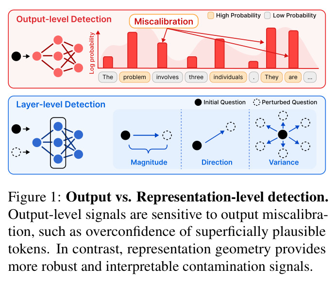 Output vs. Representation-level detection.