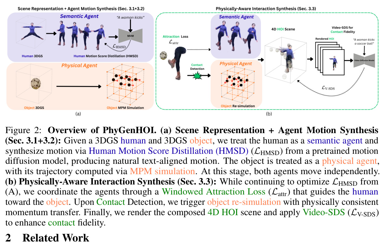 Overview of PhyGenHOI. (a) Scene Representation + Agent Motion Synthesis (Sec. 3.1+3.2): Given a 3DGS human and 3DGS object, we treat the human as a semantic agent and synthesize motion via Human Motion Score Distillation (HMSD) (LHMSD) from a pretrained motion diffusion model, producing natural text-aligned motion. The object is treated as a physical agent, with its trajectory computed via MPM simulation. At this stage, both agents move independently. (b) Physically-Aware Interaction Synthesis (Sec. 3.3): While continuing to optimize LHMSD from (A), we coordinate the agents through a Windowed Attraction Loss (Lattr) that guides the human toward the object. Upon Contact Detection, we trigger object re-simulation with physically consistent momentum transfer. Finally, we render the composed 4D HOI scene and apply Video-SDS (LV-SDS) to enhance contact fidelity.
