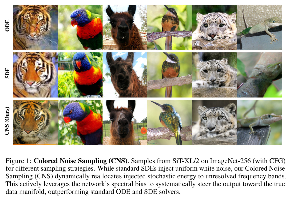 Colored Noise Sampling (CNS). Samples from SiT-XL/2 on ImageNet-256 (with CFG) for different sampling strategies.