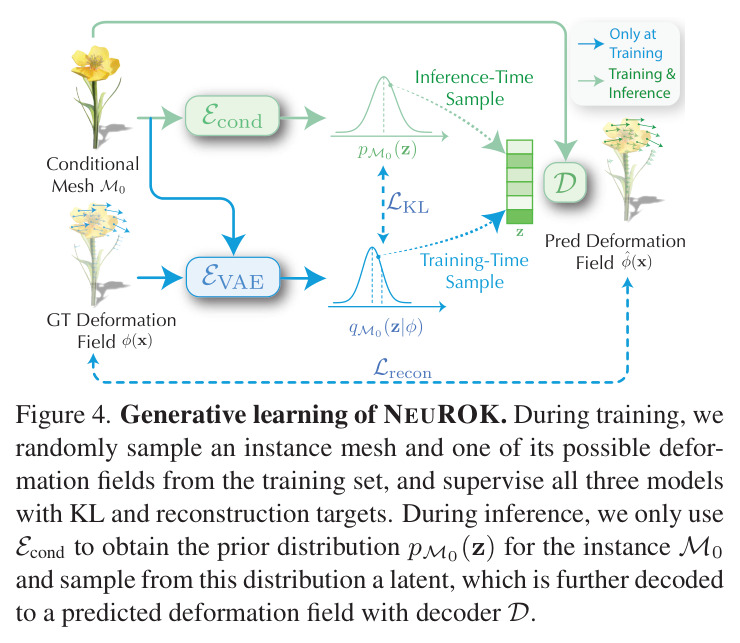 Generative learning of NEUROK. During training, we randomly sample an instance mesh and one of its possible deformation fields from the training set, and supervise all three models with KL and reconstruction targets. During inference, we only use E_cond to obtain the prior distribution p_M0(z) for the instance M0 and sample from this distribution a latent, which is further decoded to a predicted deformation field with decoder D.