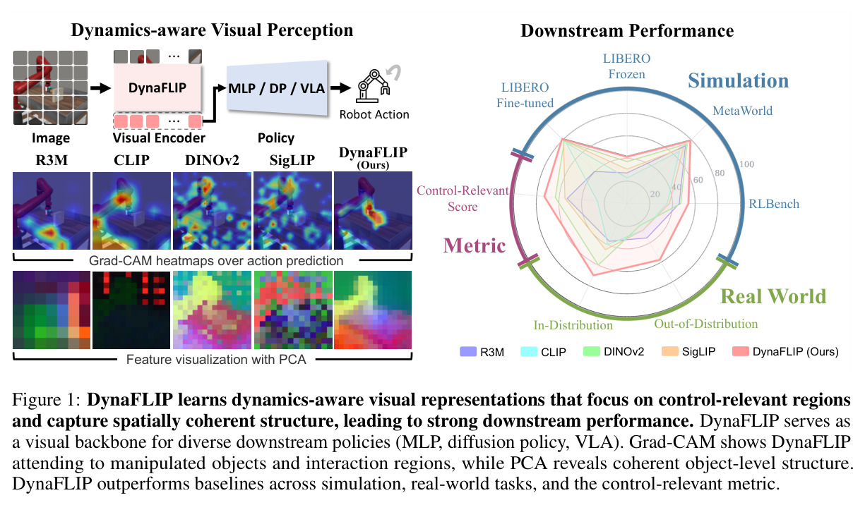 DynaFLIP learns dynamics-aware visual representations that focus on control-relevant regions and capture spatially coherent structure, leading to strong downstream performance.