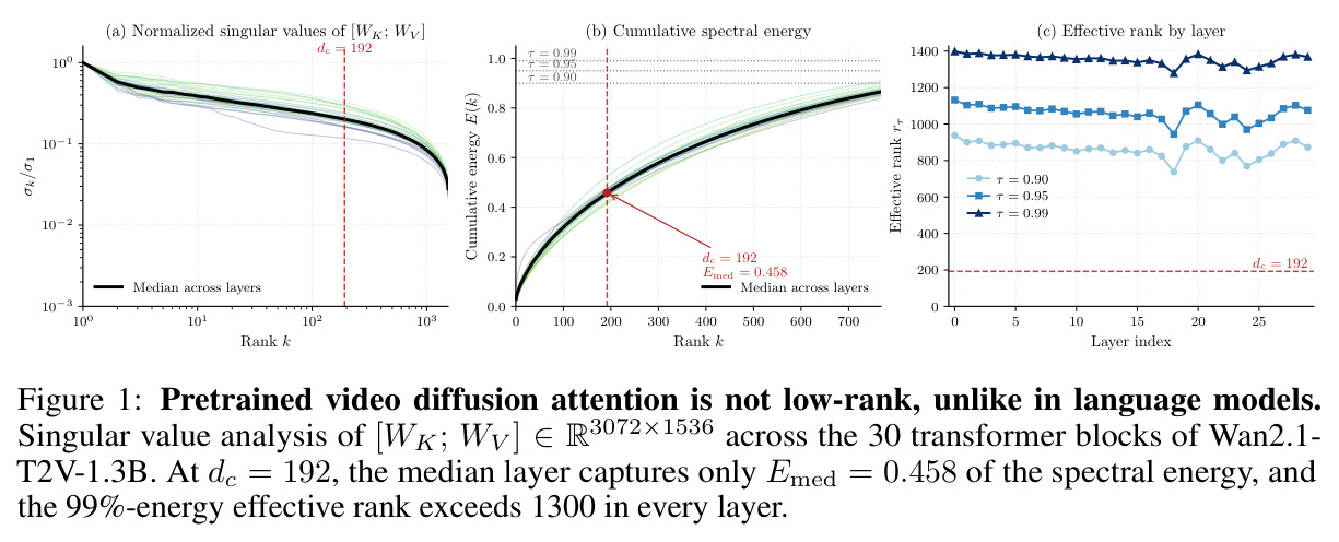 Pretrained video diffusion attention is not low-rank, unlike in language models.