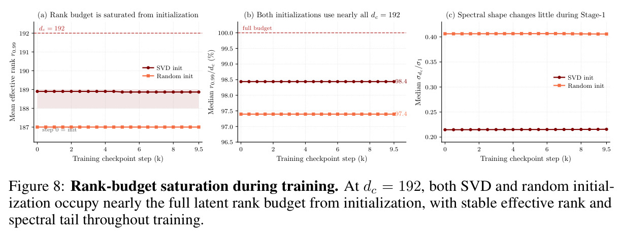 Rank-budget saturation during training.