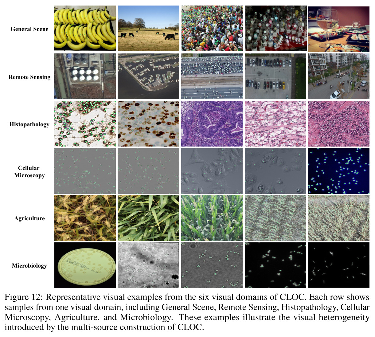 Representative visual examples from the six visual domains of CLOC.