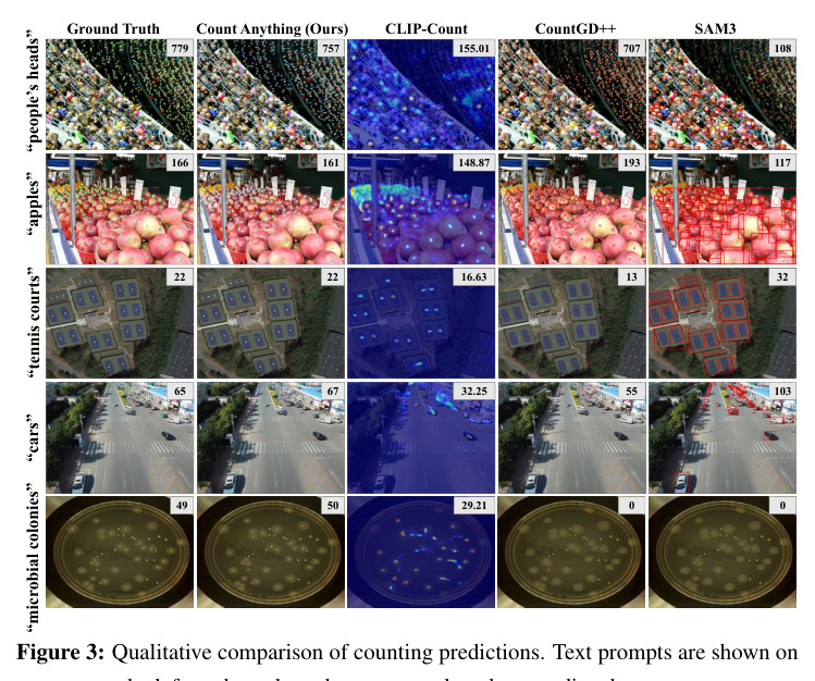 Qualitative comparison of counting predictions.