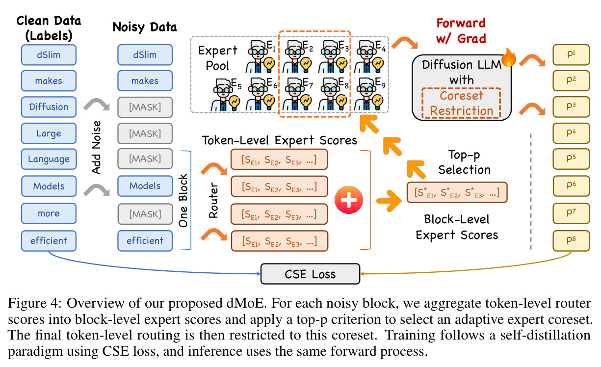 Overview of our proposed dMoE. For each noisy block, we aggregate token-level router scores into block-level expert scores and apply a top-p criterion to select an adaptive expert coreset. The final token-level routing is then restricted to this coreset. Training follows a self-distillation paradigm using CSE loss, and inference uses the same forward process.