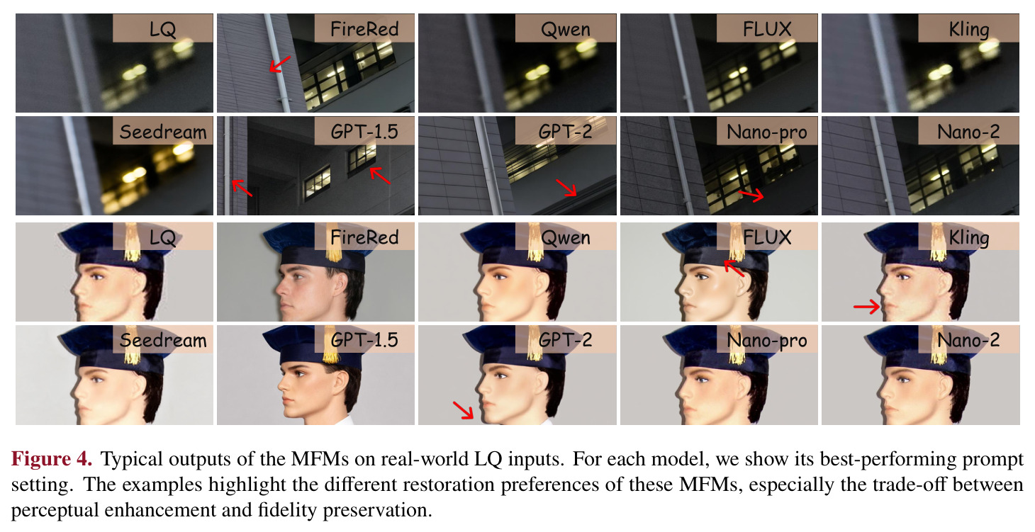 Typical outputs of the MFMs on real-world LQ inputs