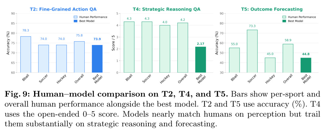Human–model comparison on T2, T4, and T5